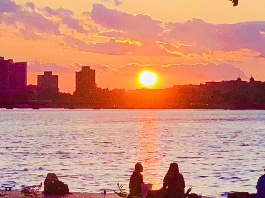 IMG_0892.jpg?type=w966