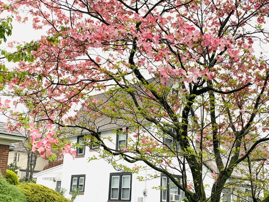 IMG_5302.jpg?type=w966