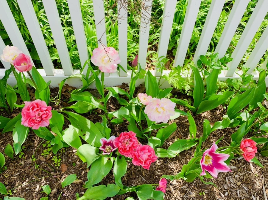 IMG_6919.jpg?type=w966