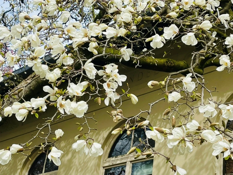 IMG_7476.jpg?type=w966