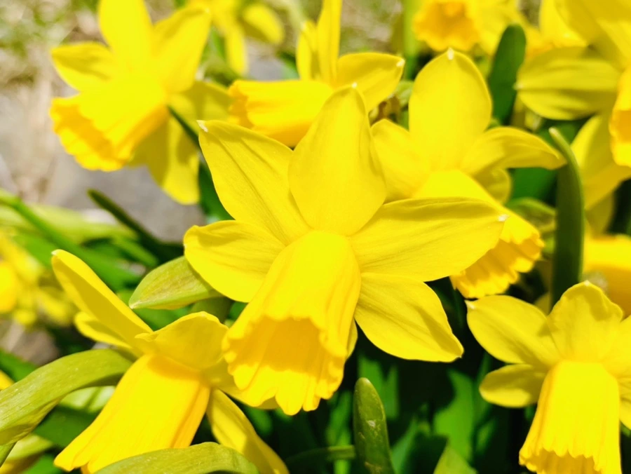 IMG_3386.jpg?type=w966