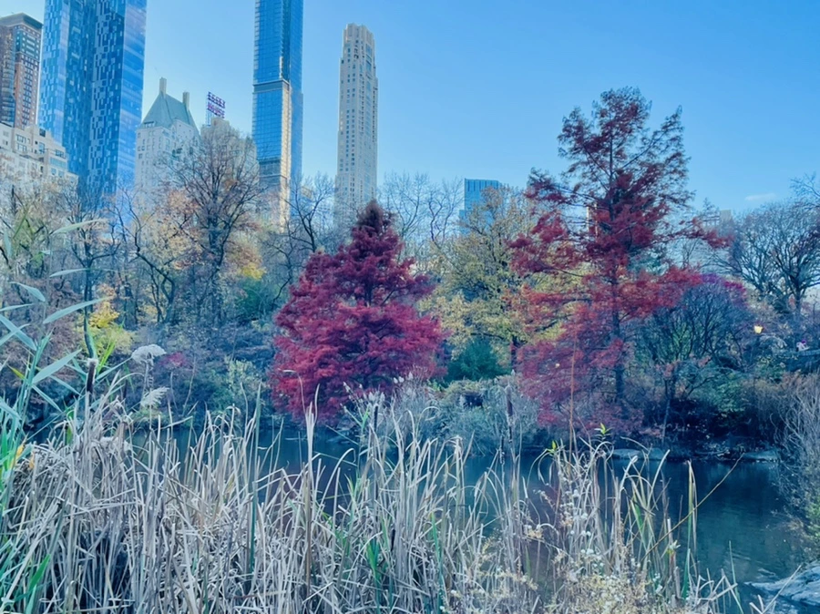 IMG_5024.jpg?type=w966