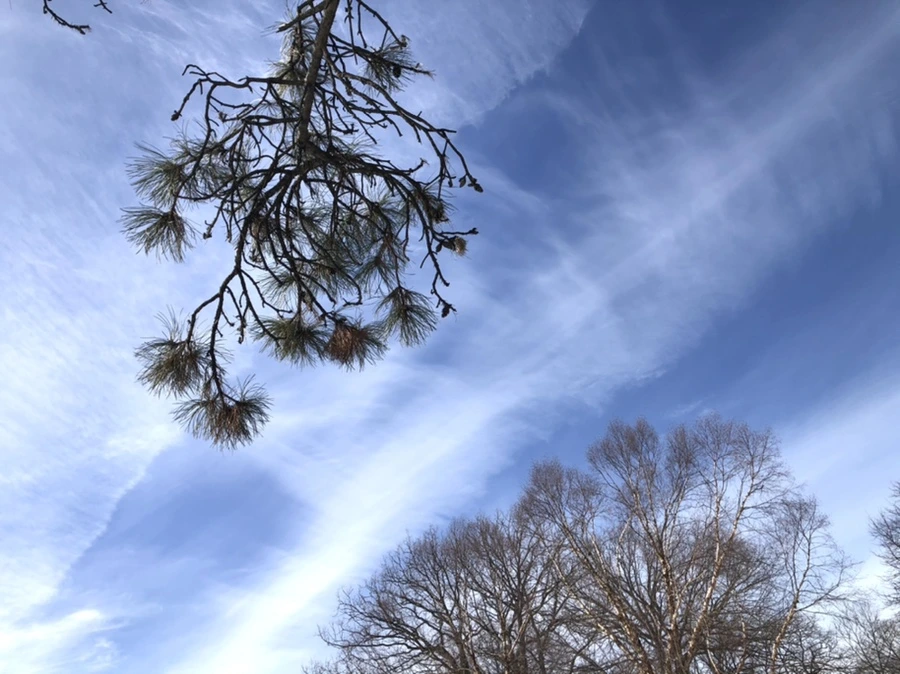 IMG_3234.jpg?type=w966