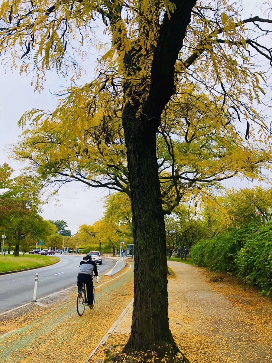 IMG_2188.jpg?type=w966