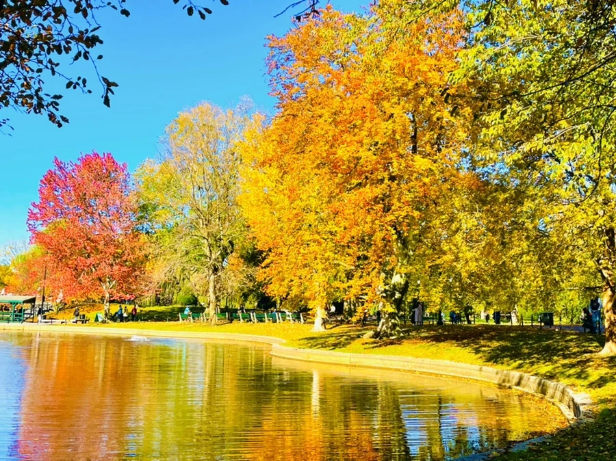 IMG_2573.jpg?type=w966