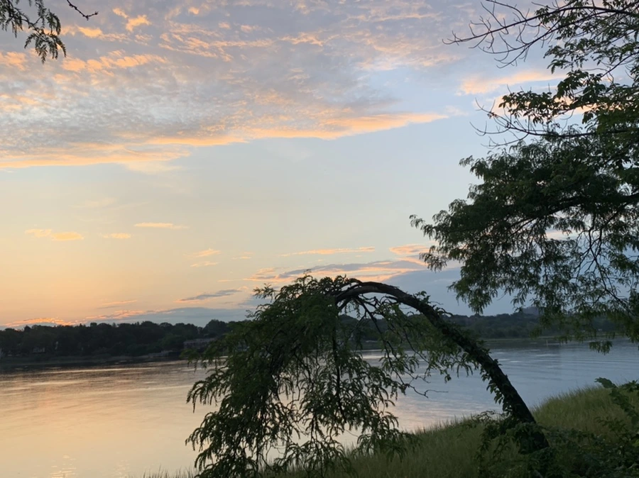 IMG_1211.jpg?type=w966