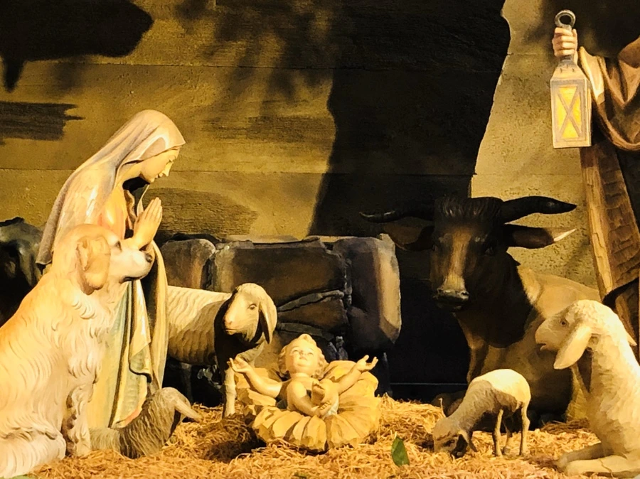 IMG_2912.jpg?type=w966