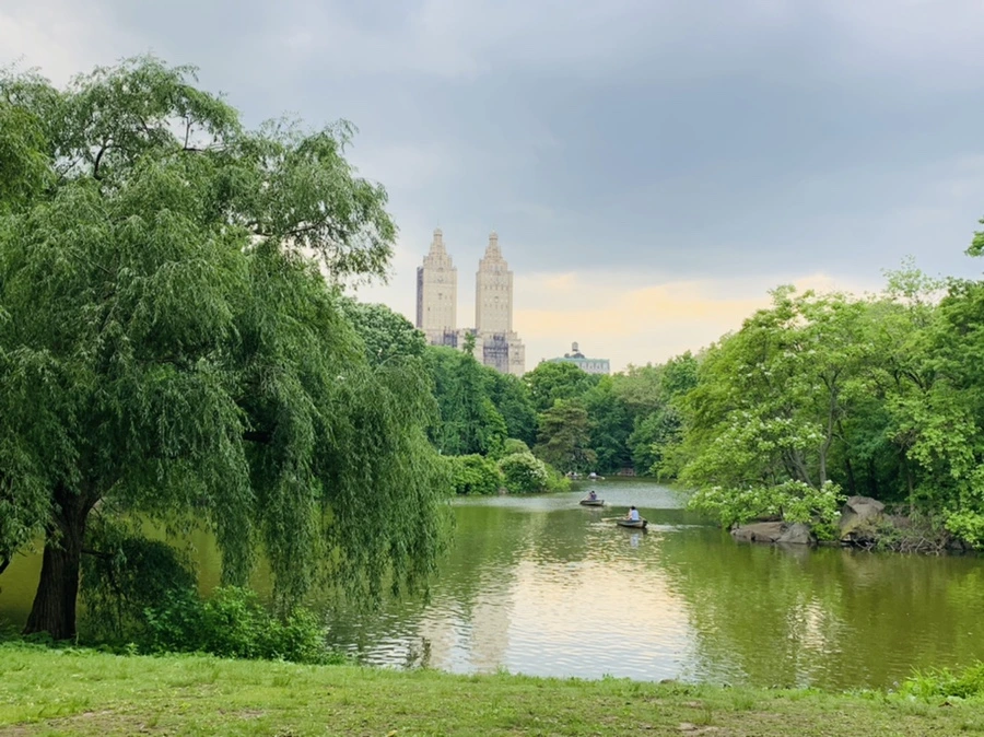 IMG_1695.jpg?type=w966