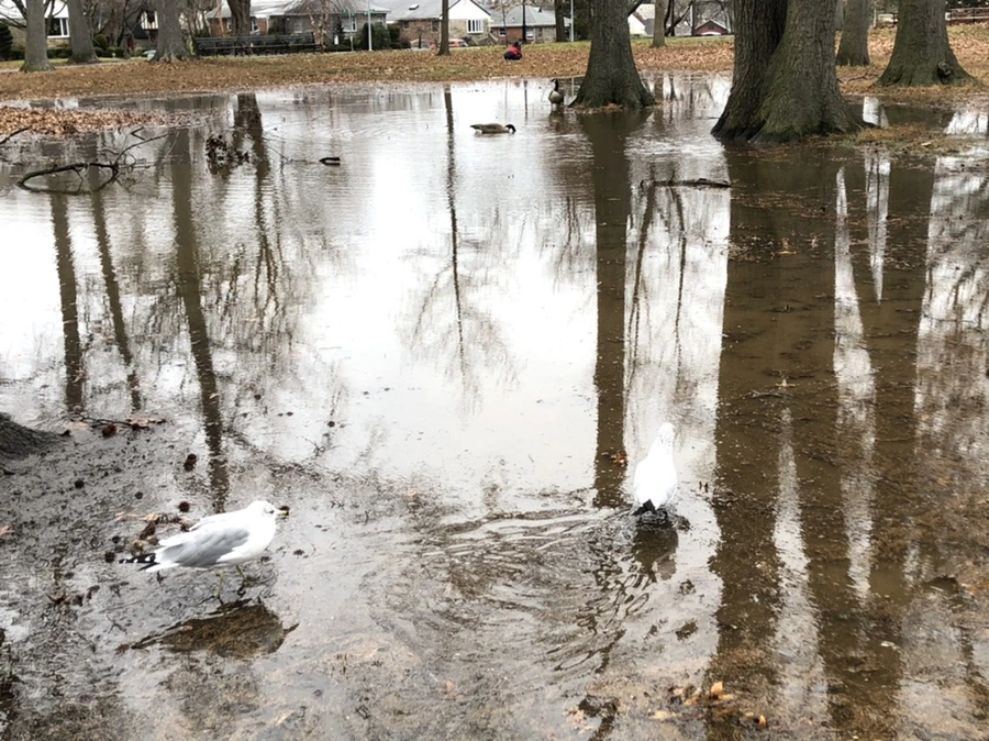 IMG_9483.jpg?type=w966