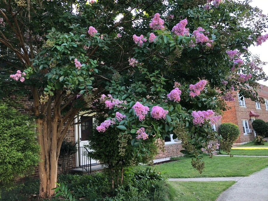 IMG_3796.jpg?type=w966