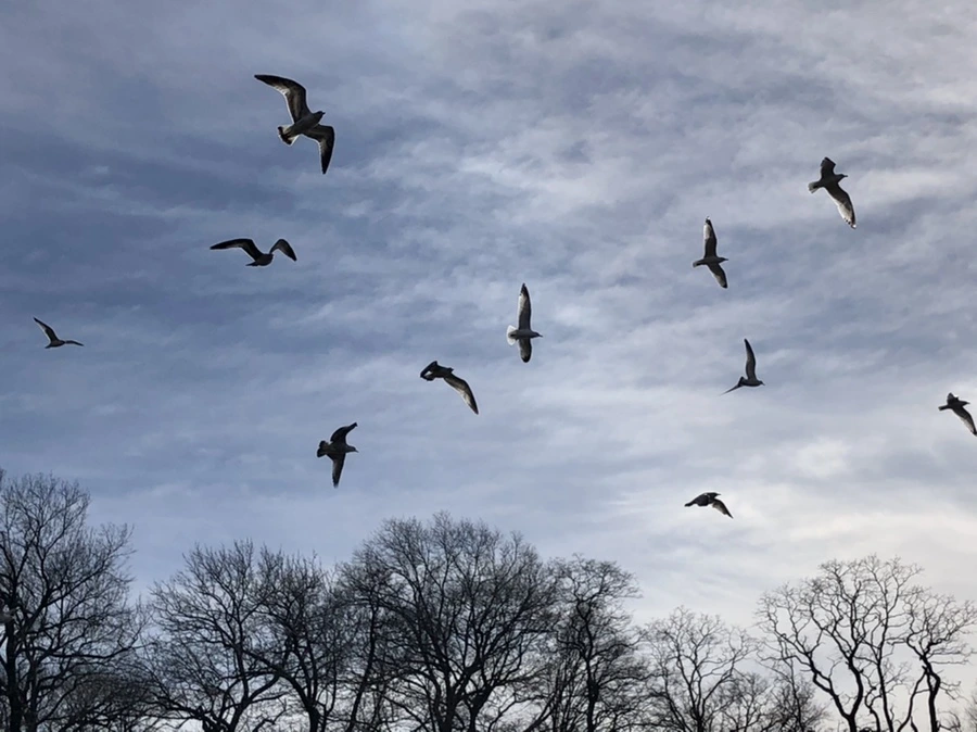 IMG_5698.jpg?type=w966