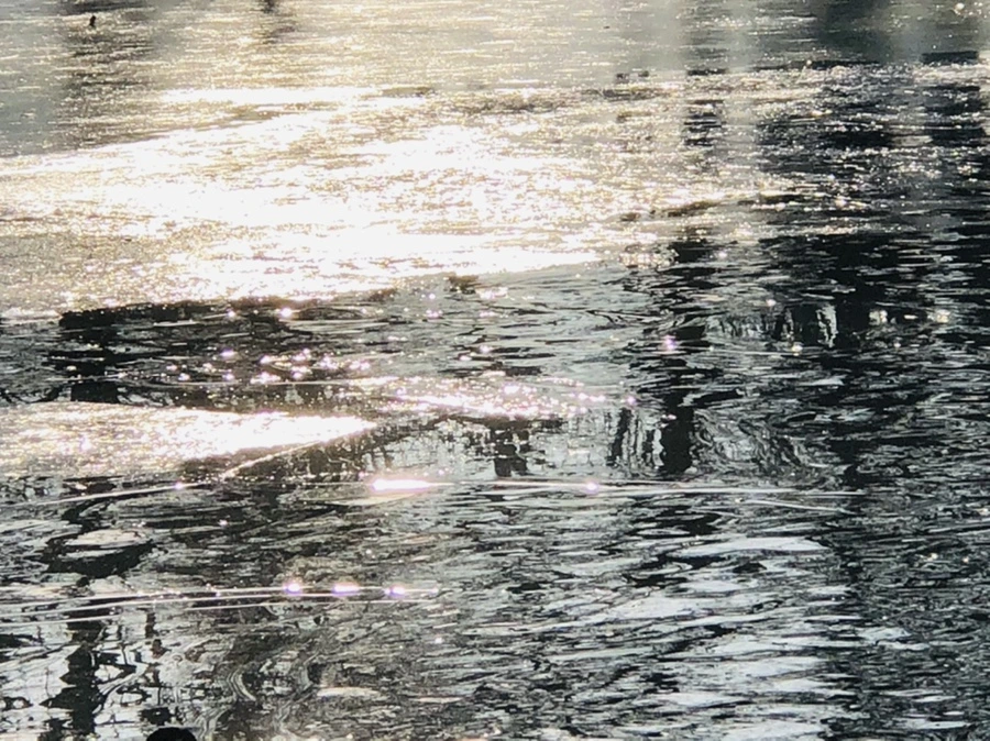 IMG_2803.jpg?type=w966