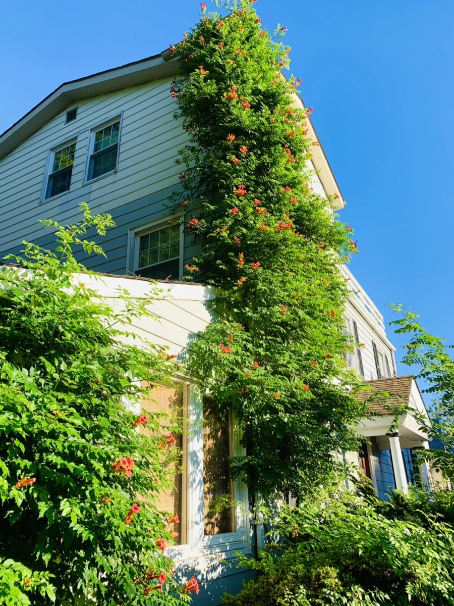 IMG_6222.jpg?type=w966