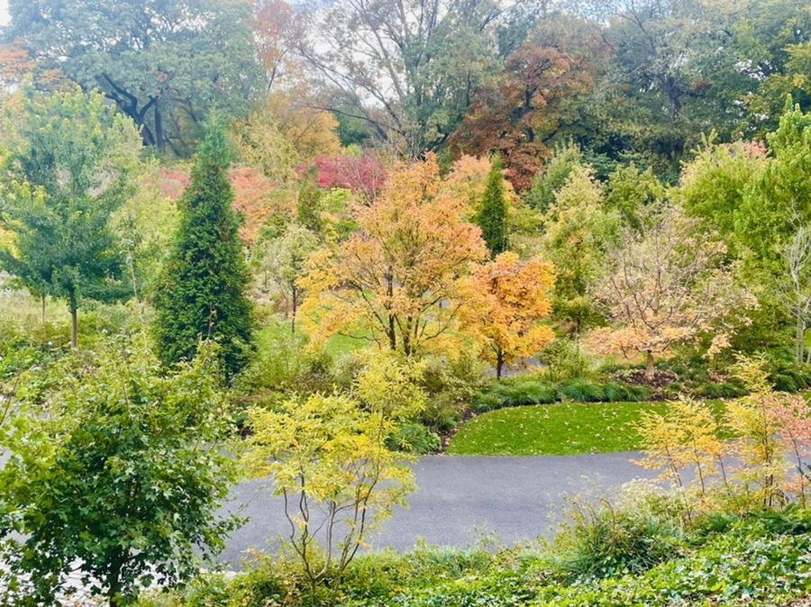 IMG_0135.jpg?type=w966