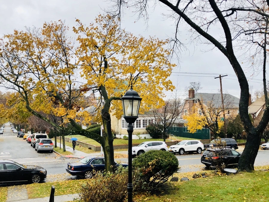 IMG_2241.jpg?type=w966