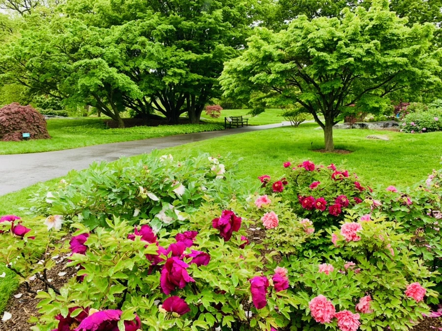 IMG_9982.jpg?type=w966