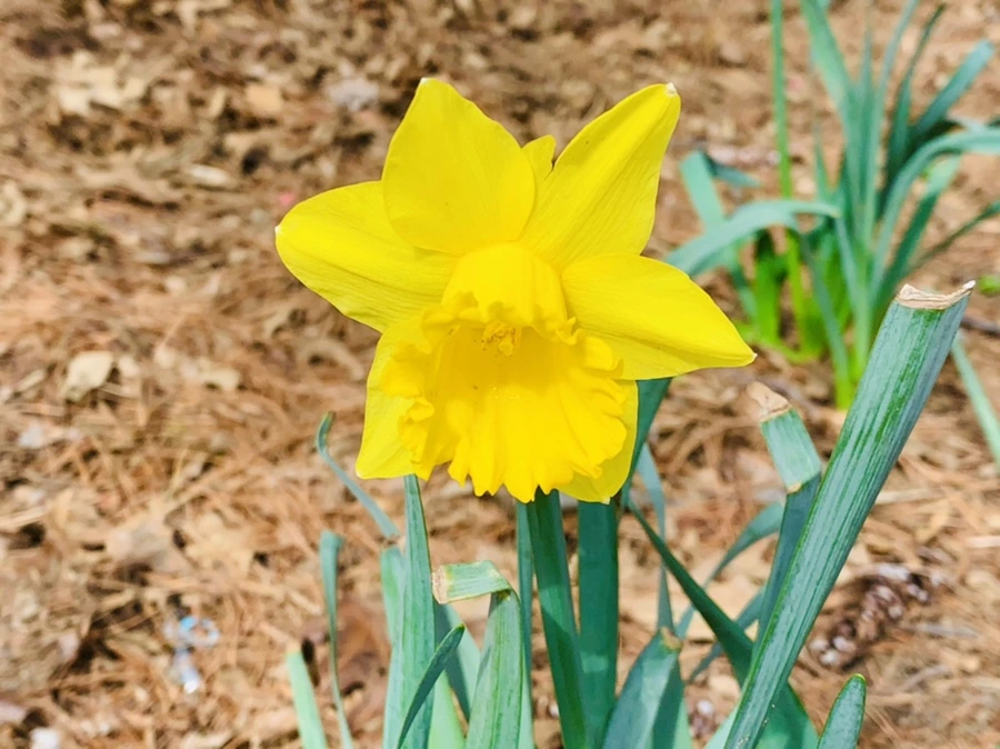 IMG_6354.jpg?type=w966