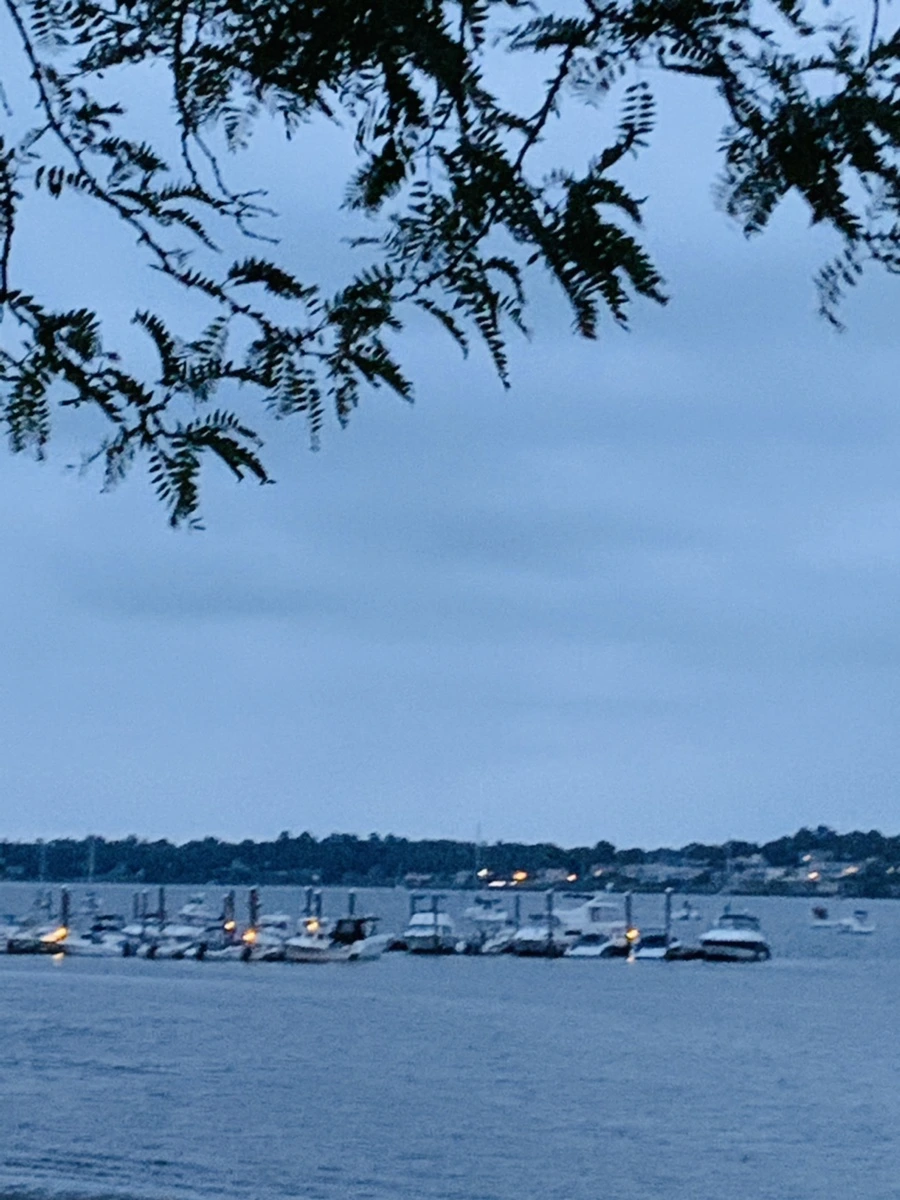 IMG_6688.jpg?type=w966