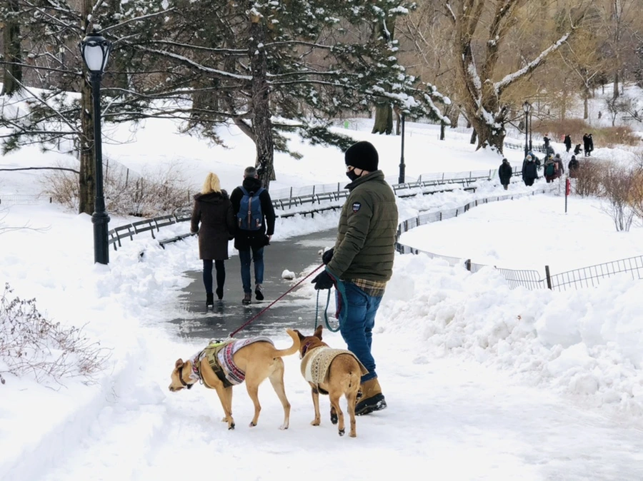 IMG_9456.jpg?type=w966