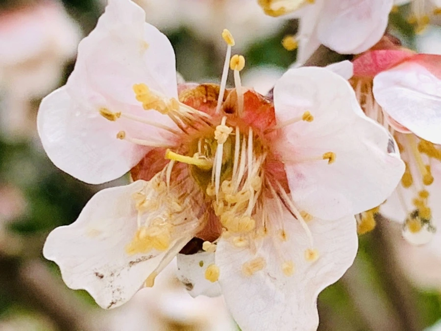 IMG_3940.jpg?type=w966