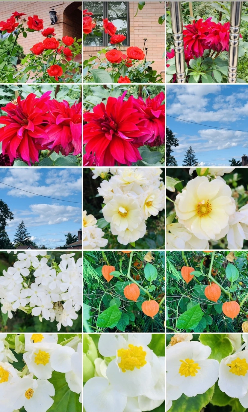 IMG_7338.jpg?type=w966