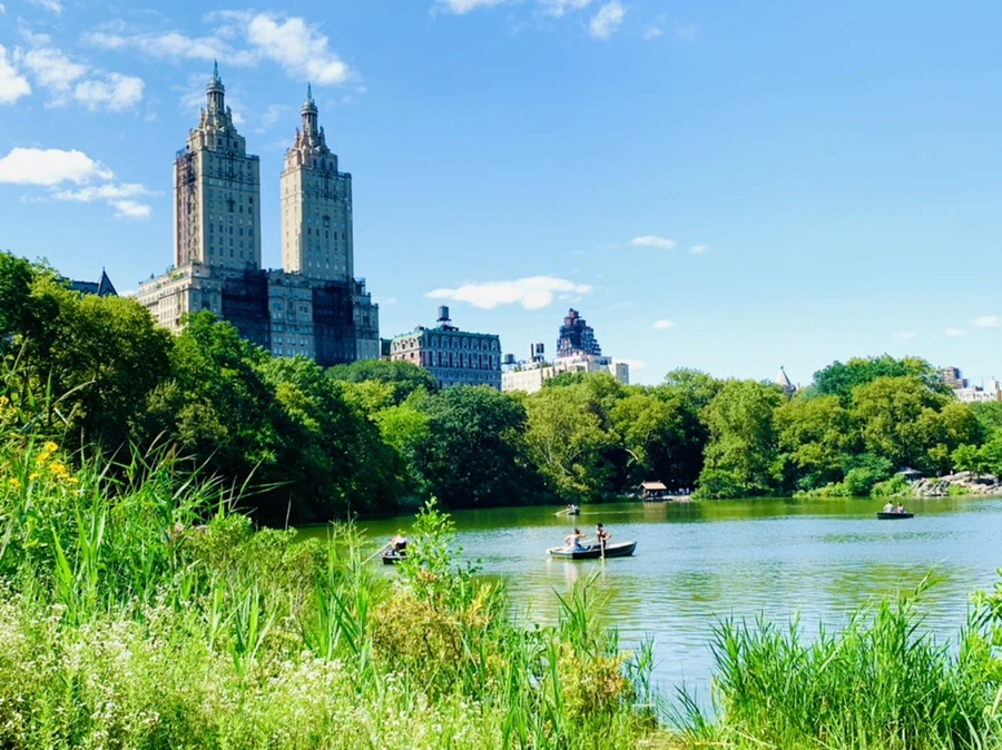 IMG_4448.jpg?type=w966