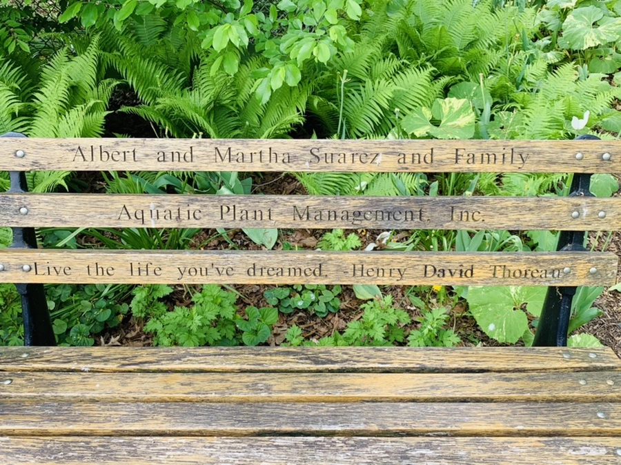 IMG_1320.jpg?type=w966