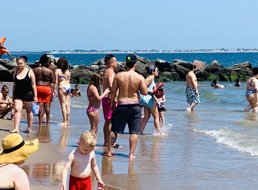 IMG_8800.jpg?type=w966