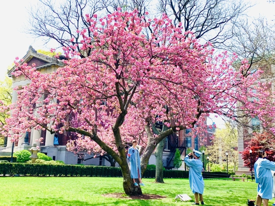 IMG_5087.jpg?type=w966