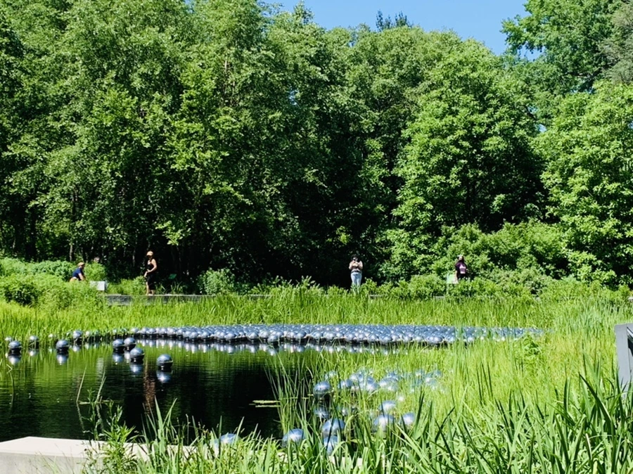 IMG_4677.jpg?type=w966