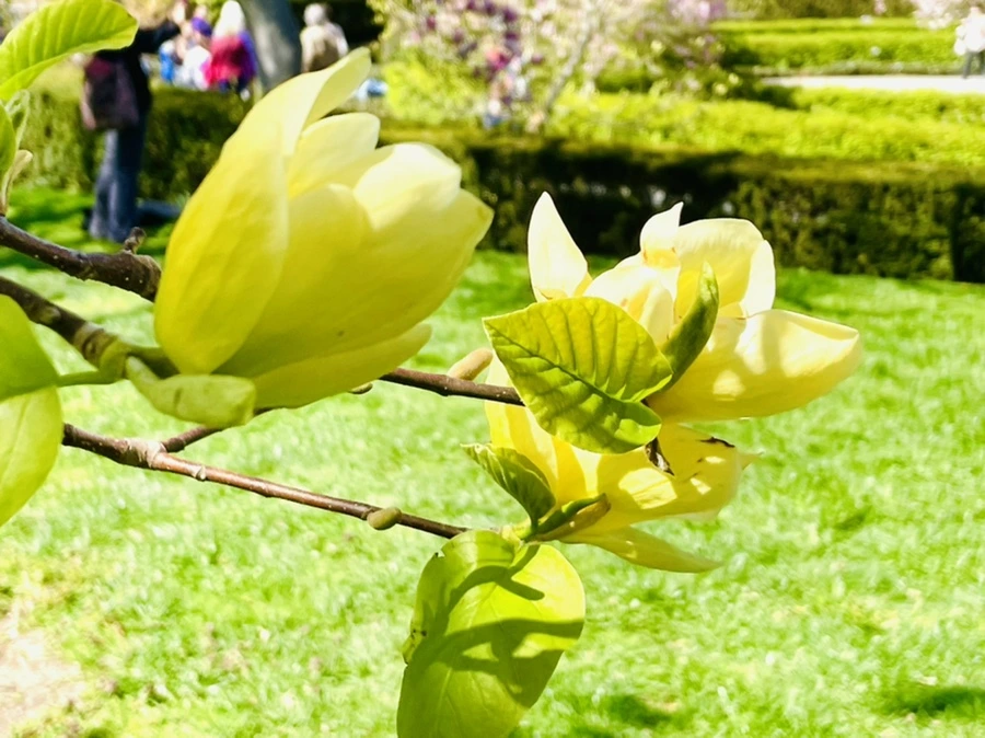 IMG_2022.jpg?type=w966