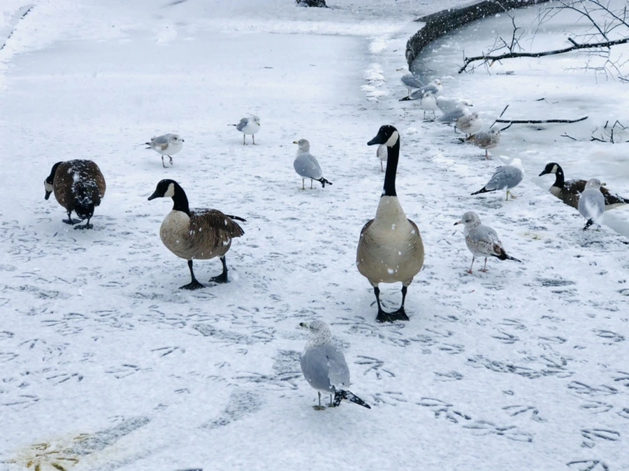 IMG_4190.jpg?type=w966