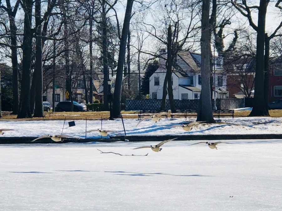 IMG_5175.jpg?type=w966