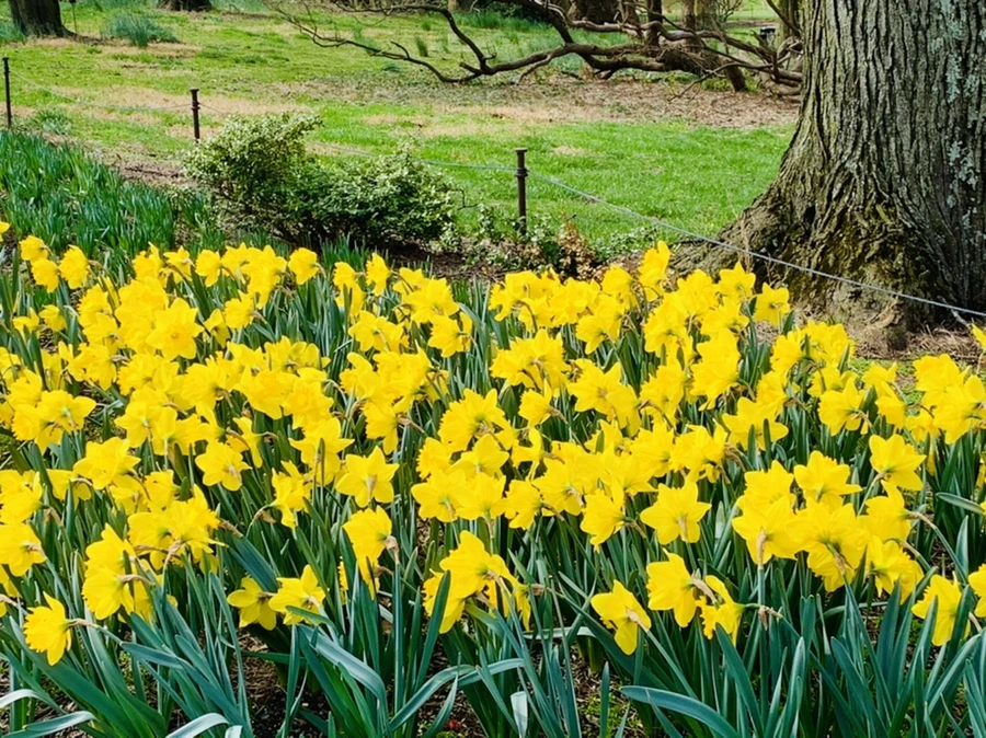 IMG_6540.jpg?type=w966