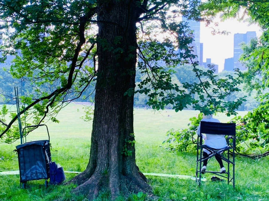 IMG_1664.jpg?type=w966