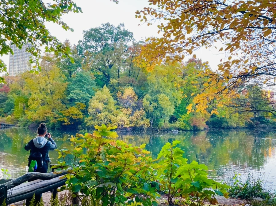 IMG_1517.jpg?type=w966