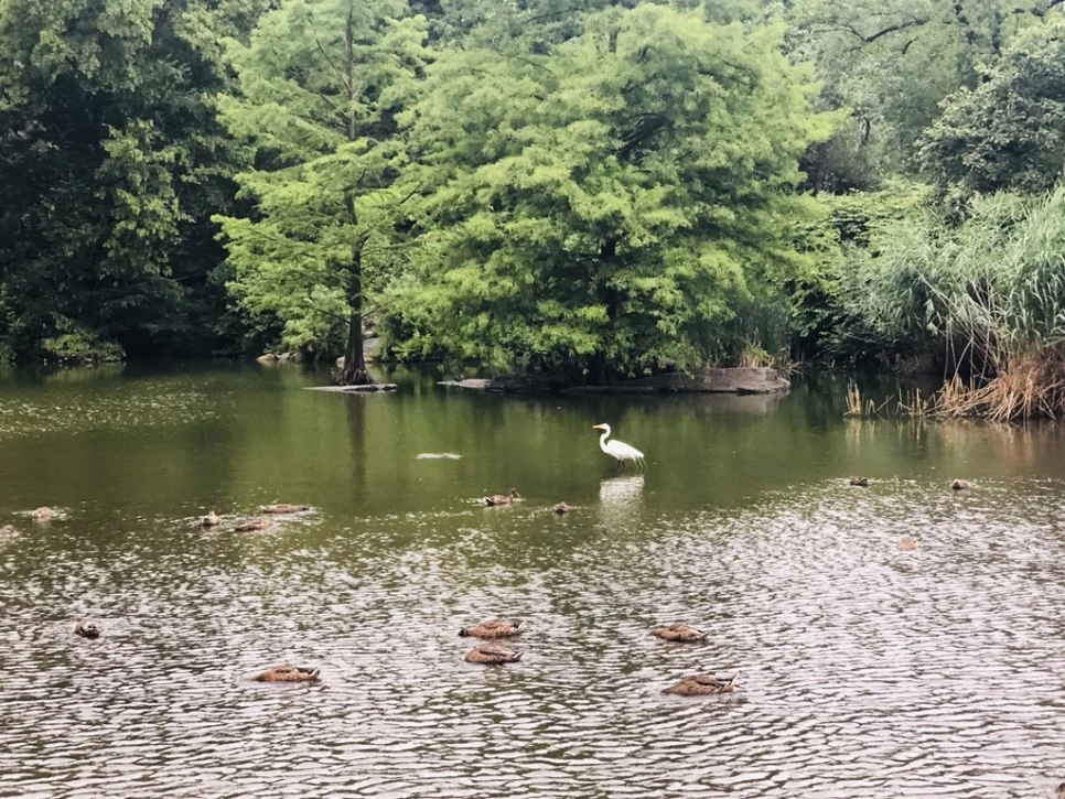 IMG_7649.jpg?type=w966