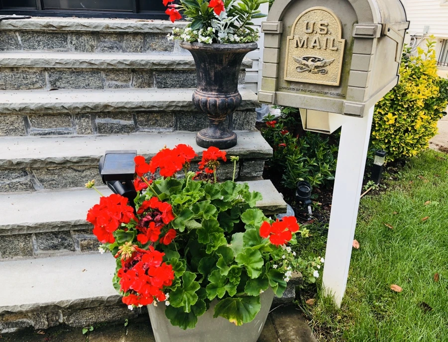 IMG_8850.jpg?type=w966