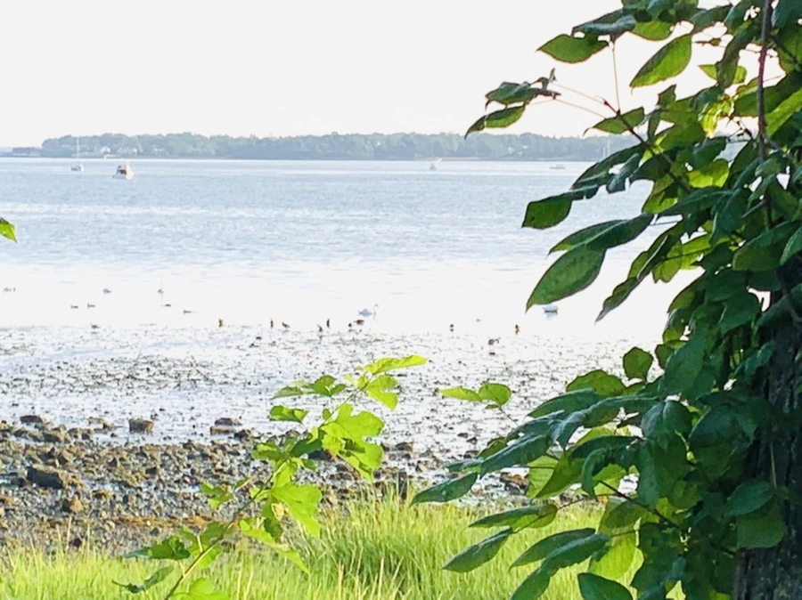 IMG_9800.jpg?type=w966