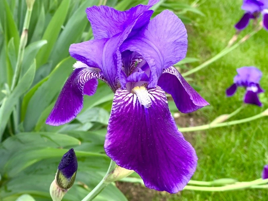 51OcX55sUZi7FVPdXG_oSYJHTv4