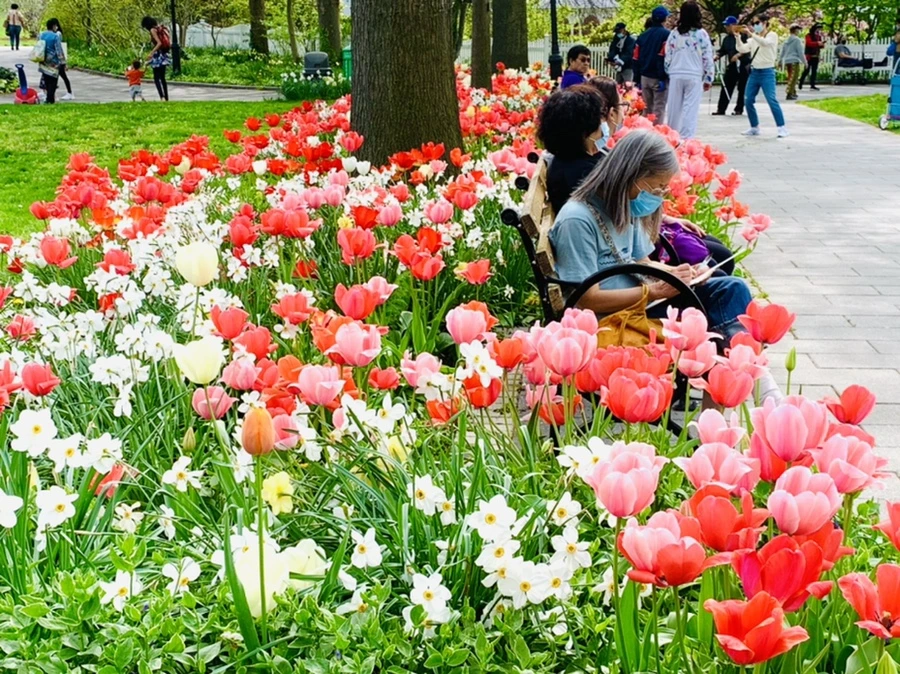 IMG_6975.jpg?type=w966