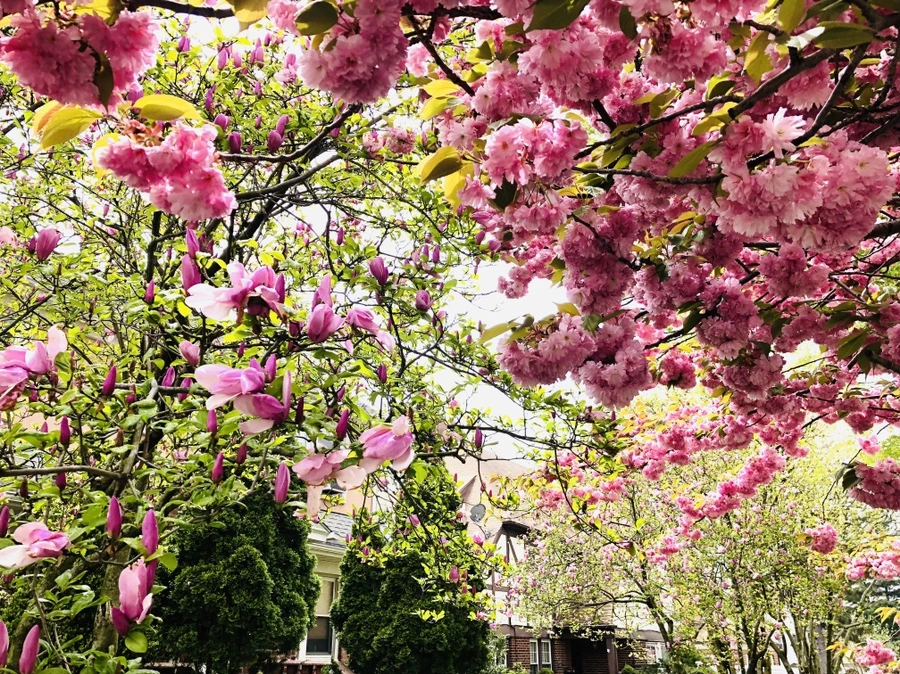 IMG_3949.jpg?type=w966