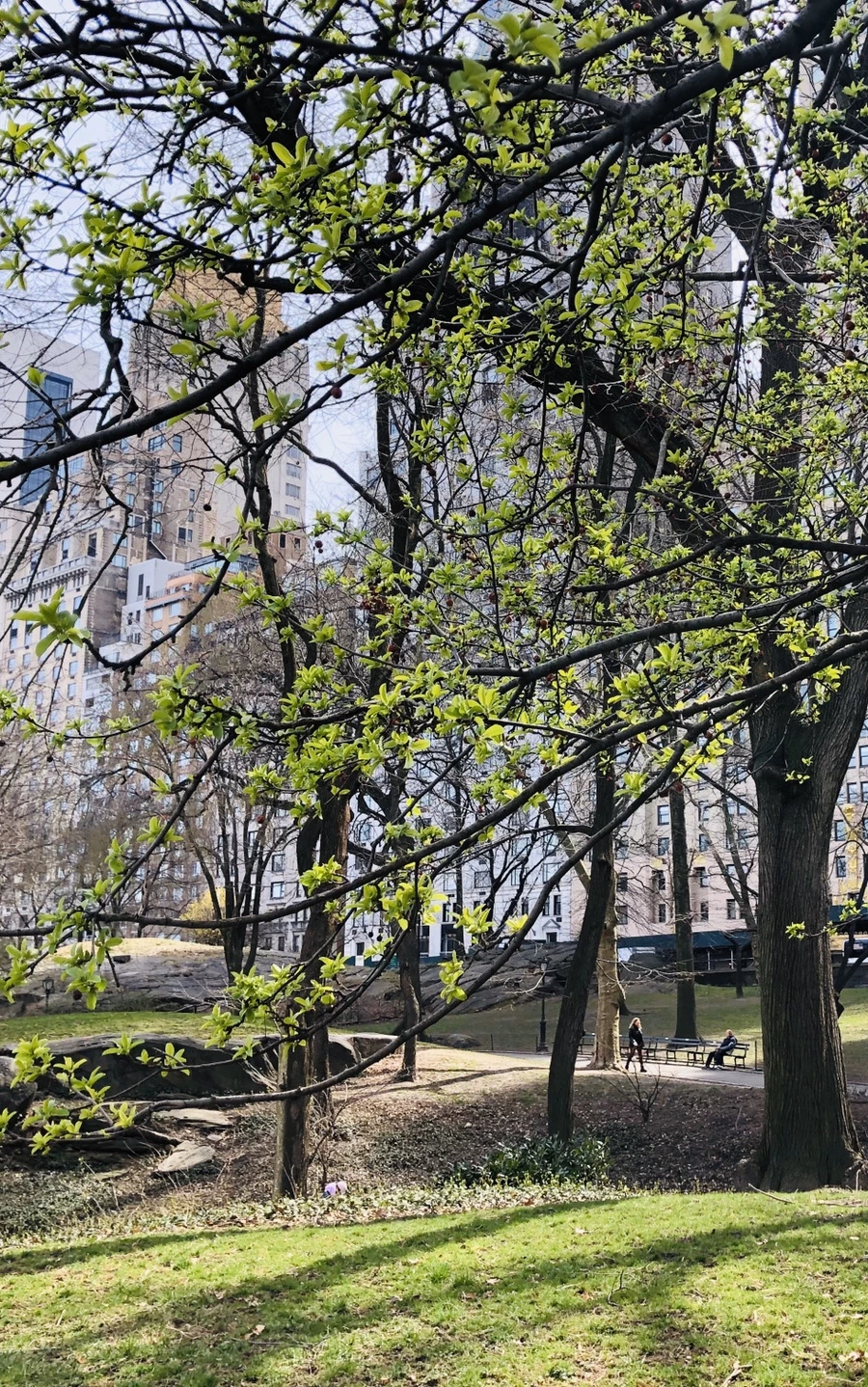 IMG_6455.jpg?type=w966