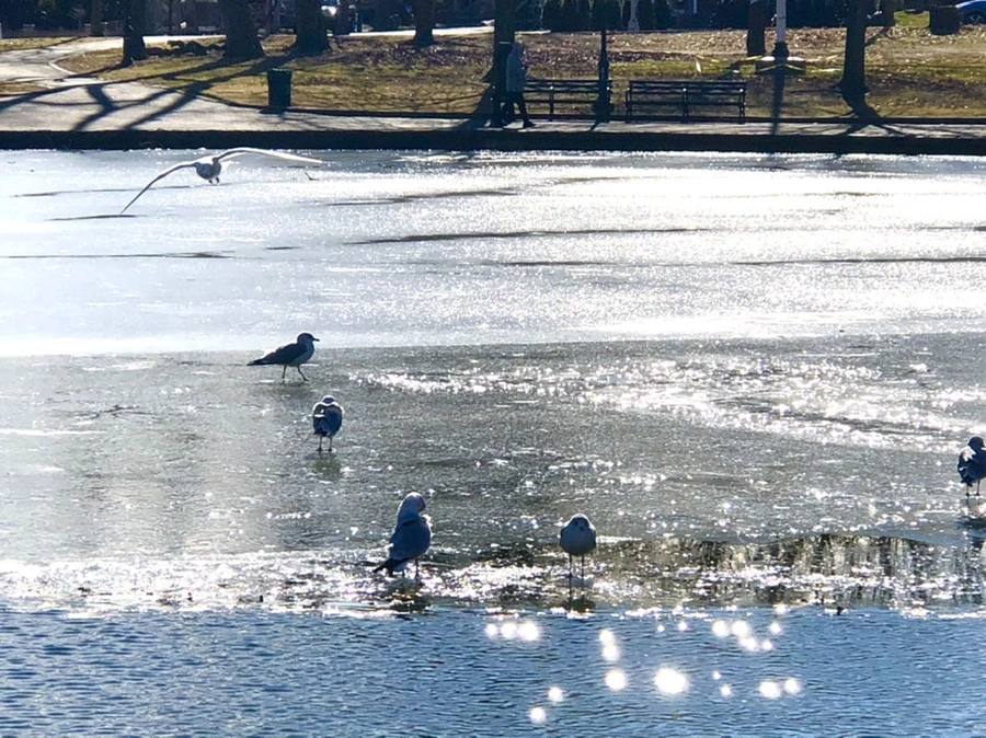 IMG_6842.jpg?type=w966