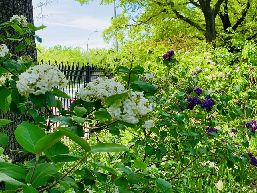 IMG_1141.jpg?type=w966