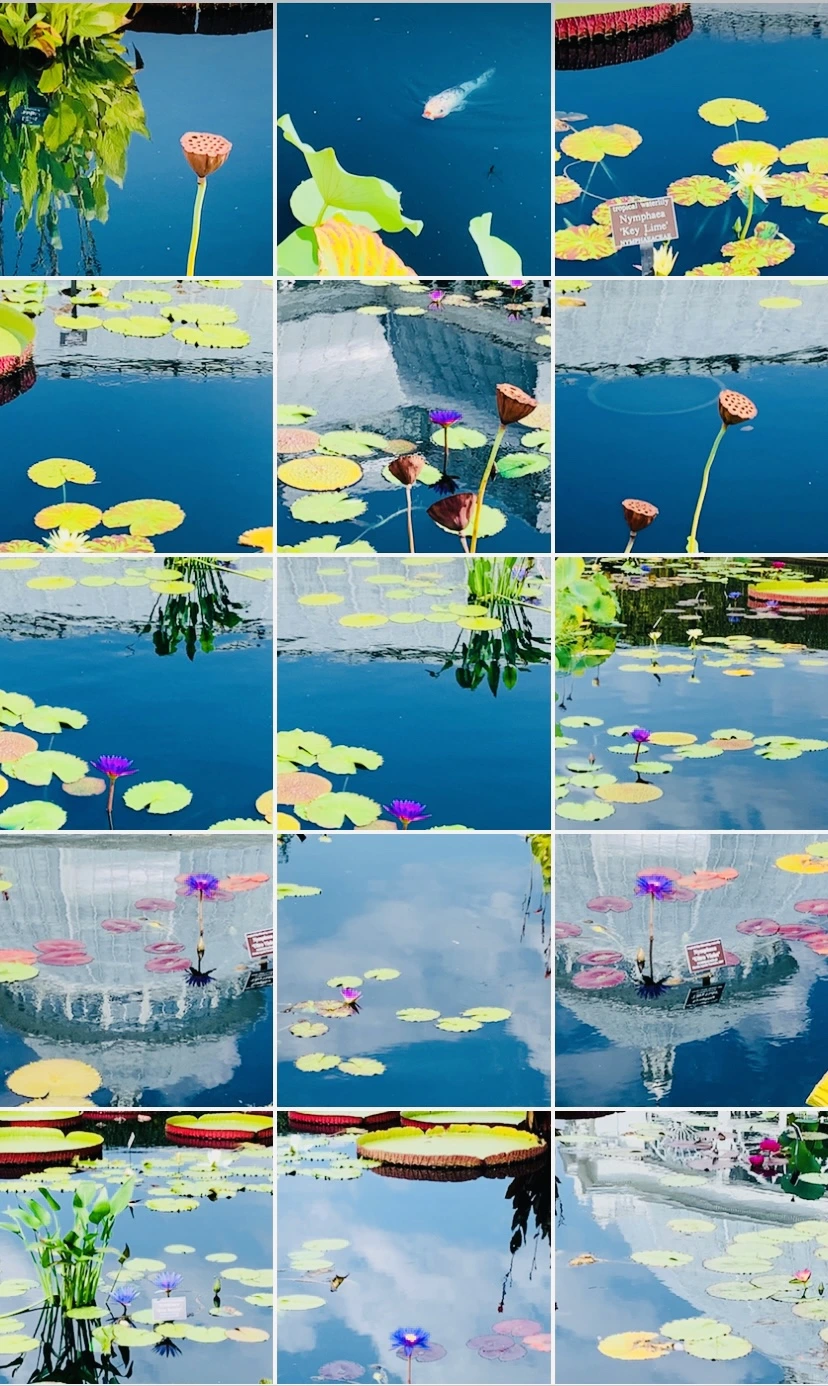 IMG_9144.jpg?type=w966