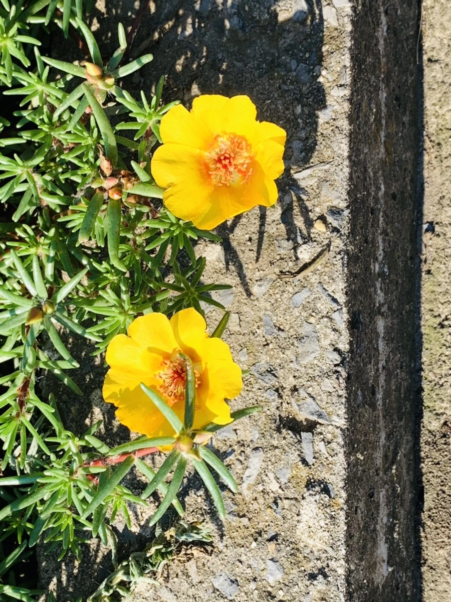 IMG_8425.jpg?type=w966