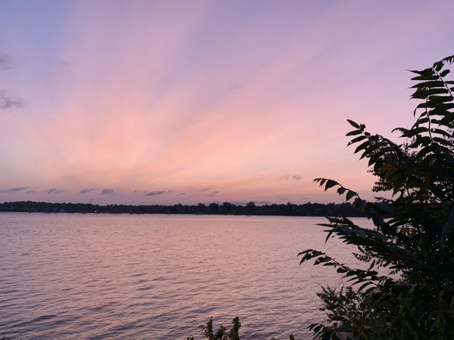 IMG_5360.jpg?type=w966