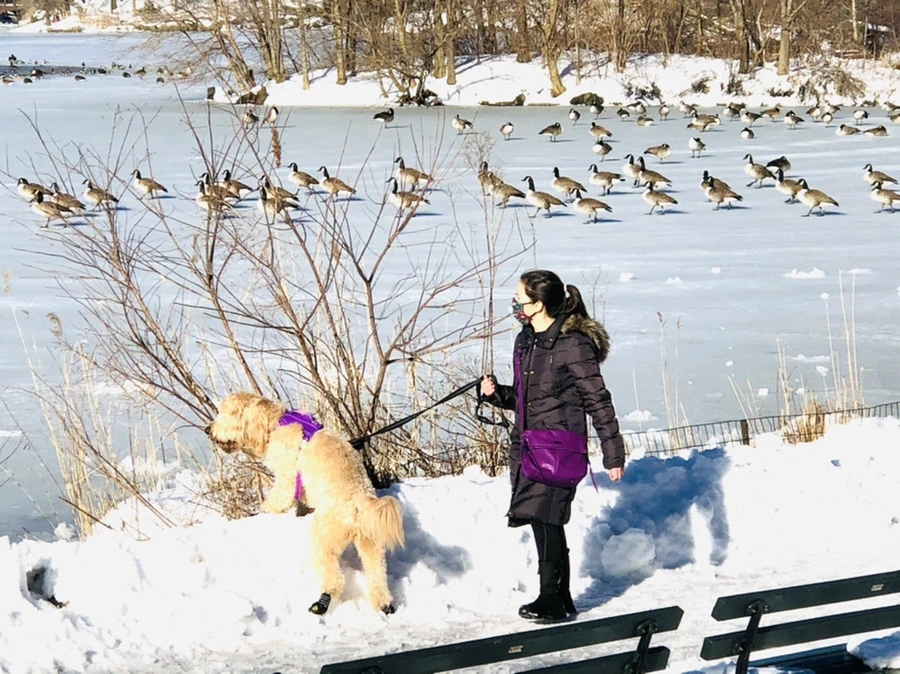 IMG_9858.jpg?type=w966