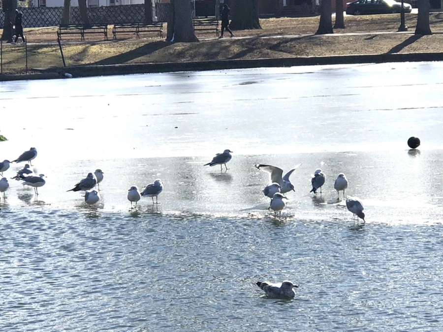 IMG_6818.jpg?type=w966